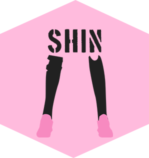 SHIN
